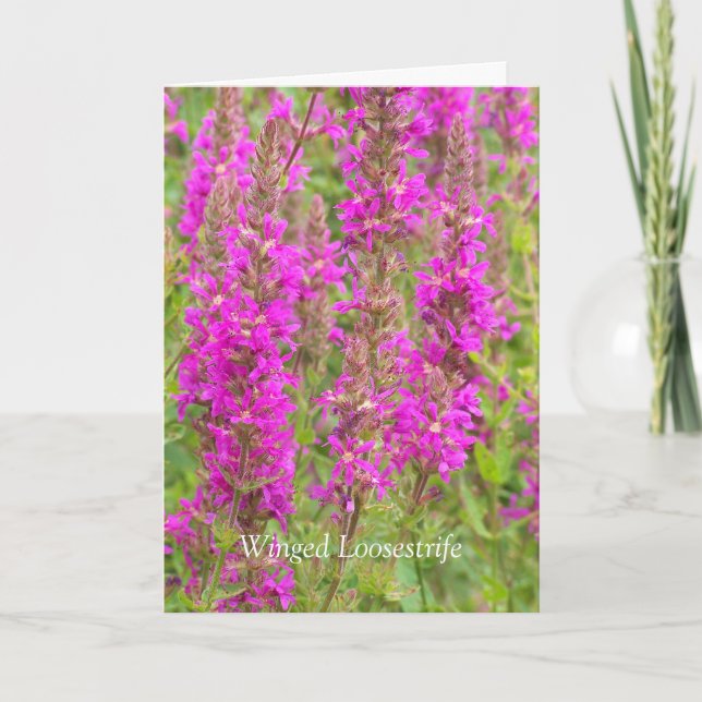 Spread My Wings And Fly: Congratulations Card (Front)