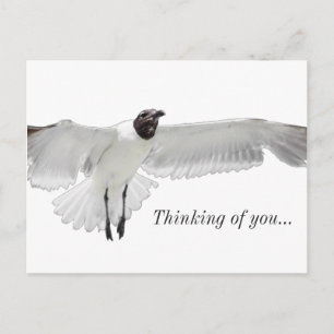 Spread Those Wings PNG Thinking Of You Postcard