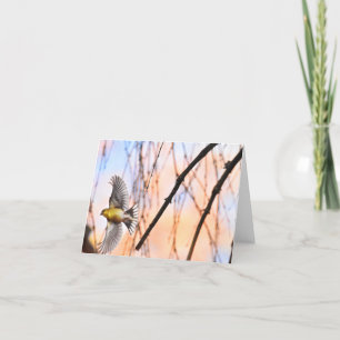 "Spread Your Wings" (Goldfinch) - Blank Note Card