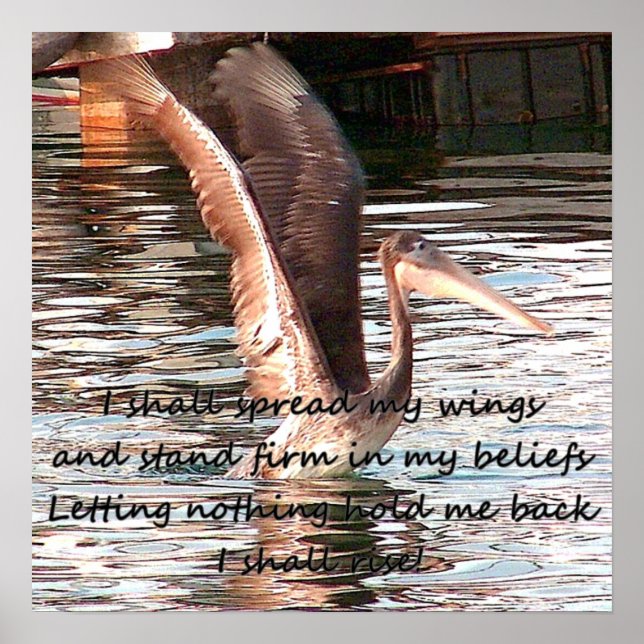 Spread your wings_ poster (Front)