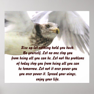 Spread your Wings_Poster Poster