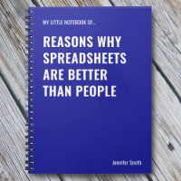 Spreadsheets Are Better Funny Accountant