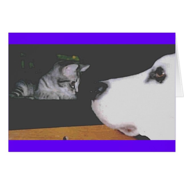 Spree&Kichou (Front Horizontal)