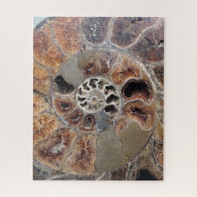 Sprial Shell Fossil Jigsaw Puzzle (Vertical)