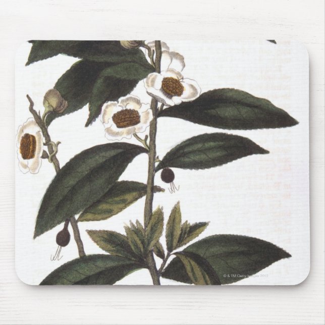 Sprig of tea bush mouse pad (Front)