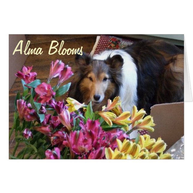 Spring (Front Horizontal)