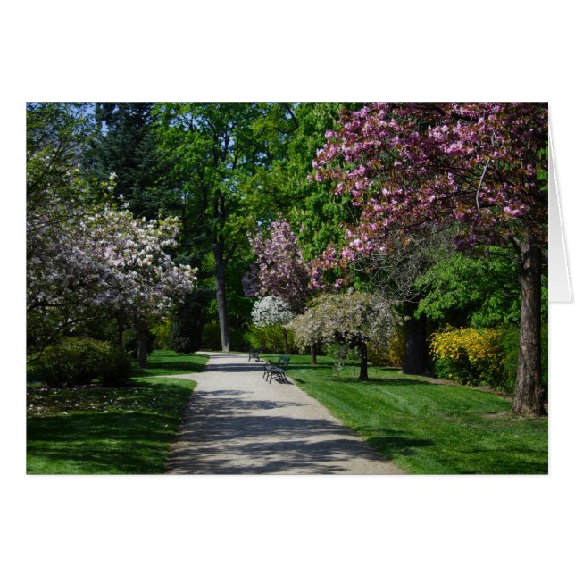 Spring (Front Horizontal)