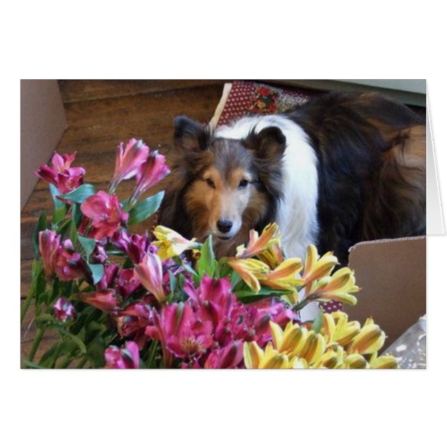 Spring (Front Horizontal)