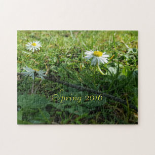 Spring 2016, Daisy Flowers Jigsaw Puzzle