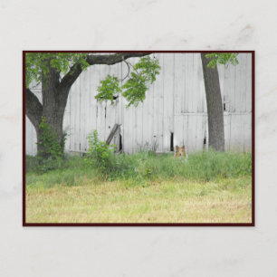 ~ Spring 36 ~ Postcard