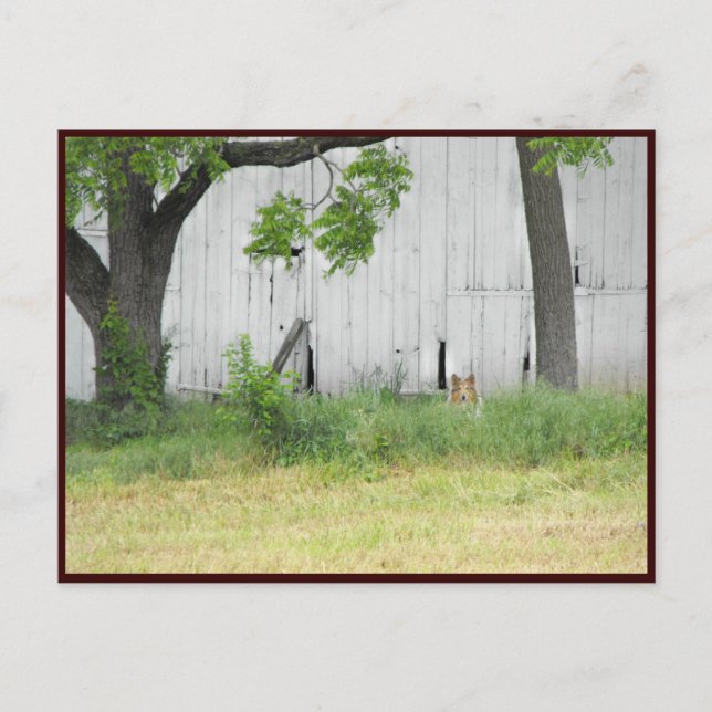 ~ Spring 36 ~ Postcard (Front)