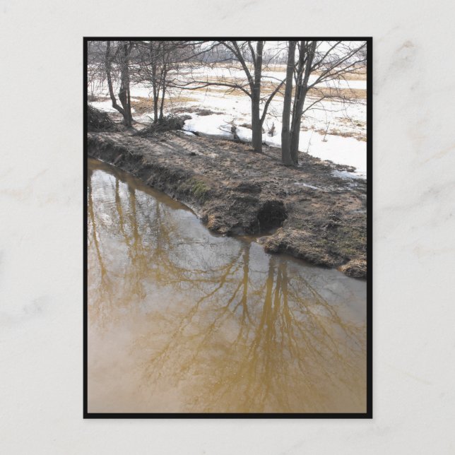 ~ Spring 56 ~ Postcard (Front)