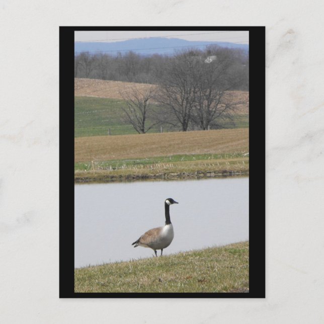 ~ Spring 65 ~ Postcard (Front)