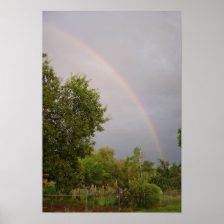 Spring Afternoon Poster