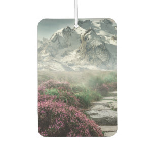 Spring and Winter Car Air Freshener