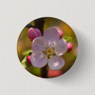 Spring Apple Blossom 3 Cm Round Badge