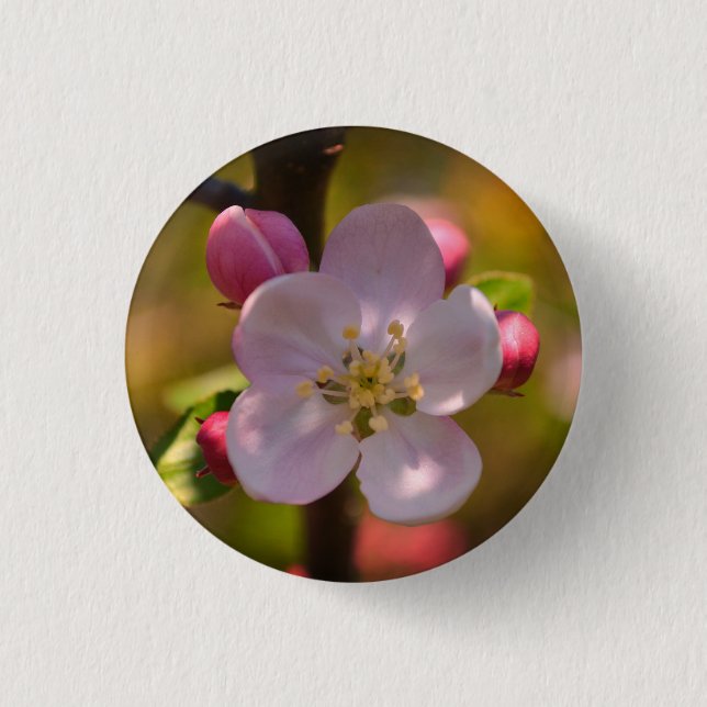 Spring Apple Blossom 3 Cm Round Badge (Front)