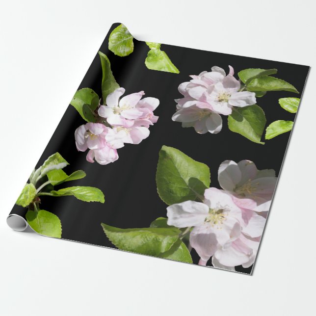 Spring Apple Blossom Wrapping Paper Matte (Unrolled)