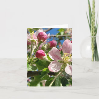 Spring Apple Blossoms Note Card