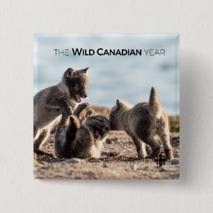 Spring - Arctic Fox 15 Cm Square Badge