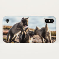 Spring - Arctic Fox
