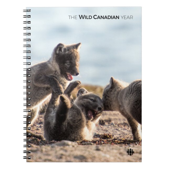 Spring - Arctic Fox Spiral Notebook (Front)
