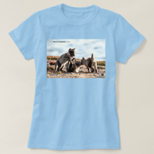 Spring - Arctic Fox Women's T-Shirt