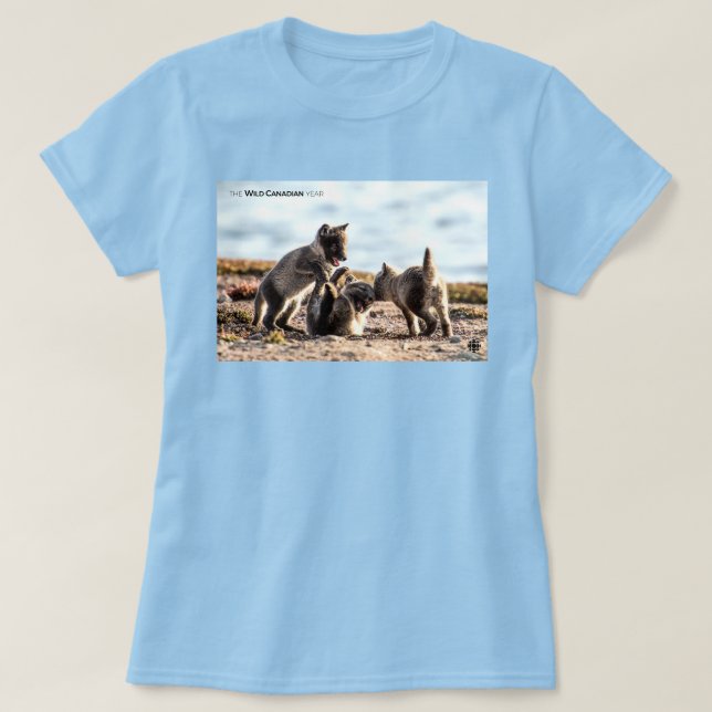 Spring - Arctic Fox Women's T-Shirt (Design Front)