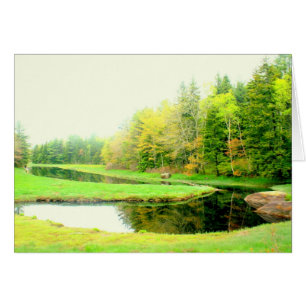 Spring at Otis Cove