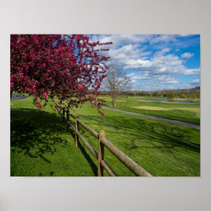 Spring At Rivercut Poster