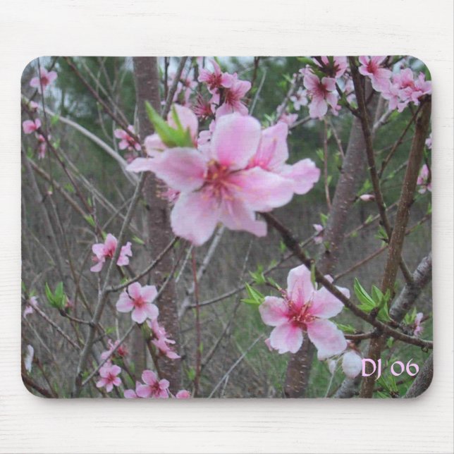 Spring at the farm, DJ 06 Mouse Pad (Front)