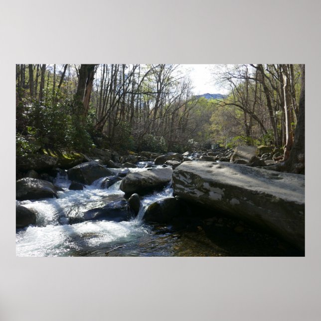 Spring at the Little Pigeon River Poster (Front)