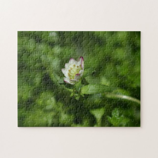 Spring awakening , just a little bloom jigsaw puzzle (Horizontal)