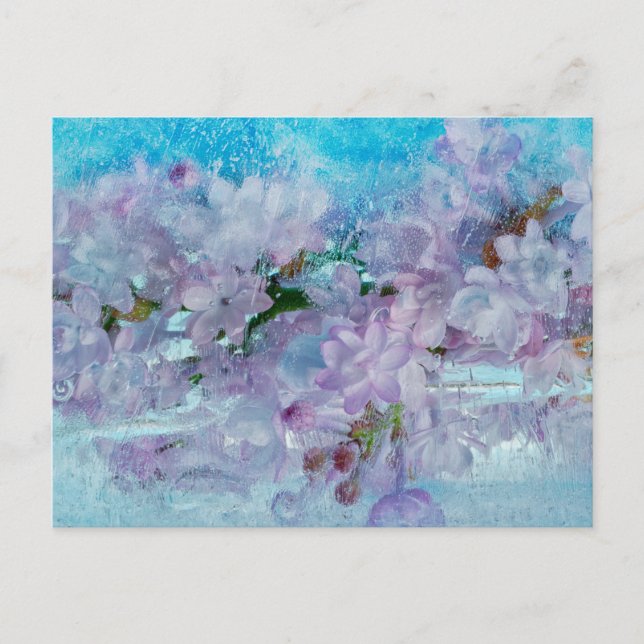 Spring Awakening Postcard (Front)