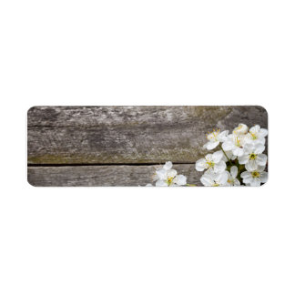 Spring Background With Cherry Flowers