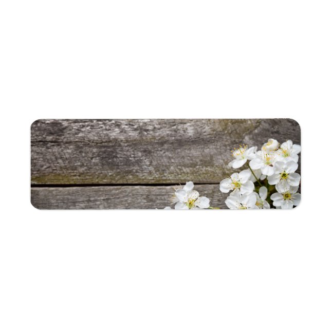 Spring Background With Cherry Flowers (Front)