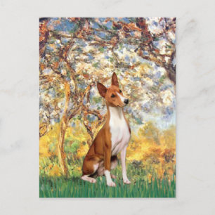 Spring - Basenji Postcard