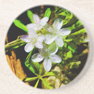 Spring Beauty a Purple Wildflower Abstract Coaster