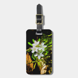 Spring Beauty a Purple Wildflower Abstract Luggage Tag