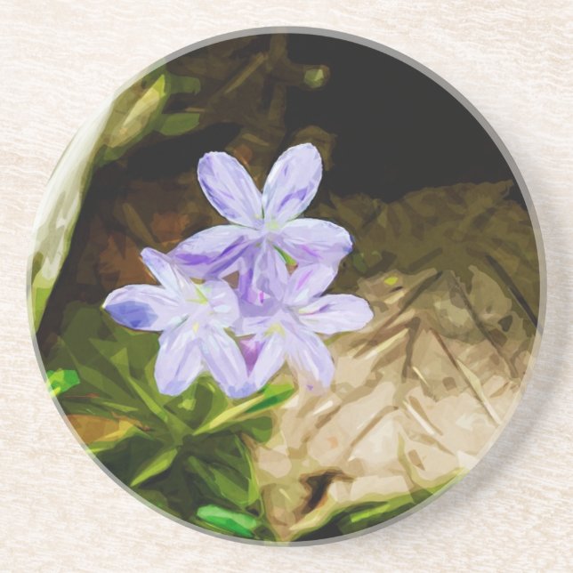 Spring Beauty a Wildflower Abstract Impressionism Coaster (Front)