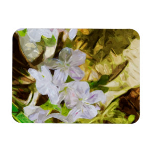 Spring Beauty a Wildflower Abstract Impressionism Magnet