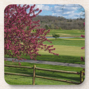 Spring Beauty At Rivercut Coaster