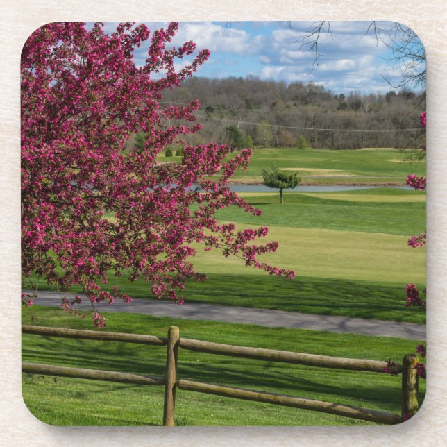 Spring Beauty At Rivercut Coaster (Front)