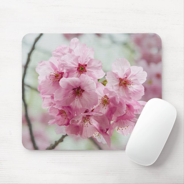 Spring Beauty: Cherry Blossom Photography Mouse Pad (With Mouse)