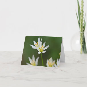 Spring Beauty Folded Thank You Card
