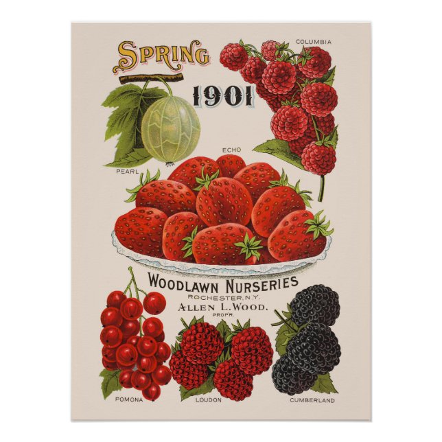 Spring berries  poster (Front)