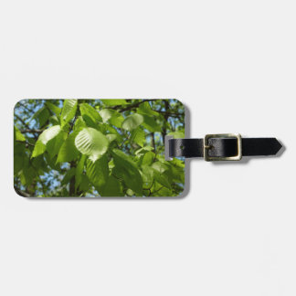 Spring Birch Leaves Green Tree Luggage Tag