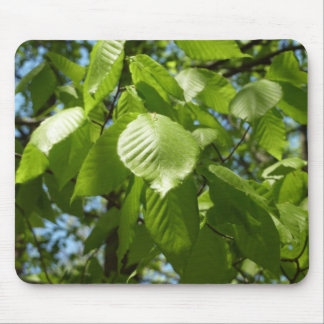 Spring Birch Leaves Green Tree Mouse Pad