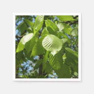 Spring Birch Leaves Green Tree Napkin