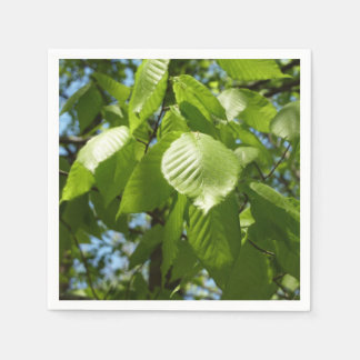 Spring Birch Leaves Green Tree Napkin